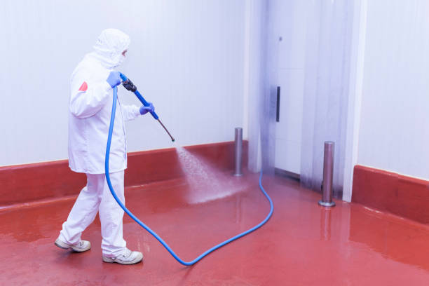 Best Sidewalk and Walkway Cleaning  in Bethpage, NY