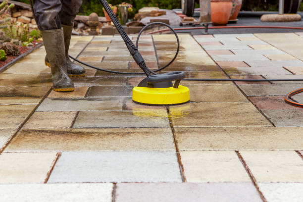 Best Dumpster Area Cleaning  in Bethpage, NY