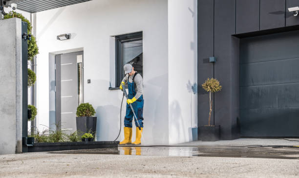 Best Roof Washing  in Bethpage, NY
